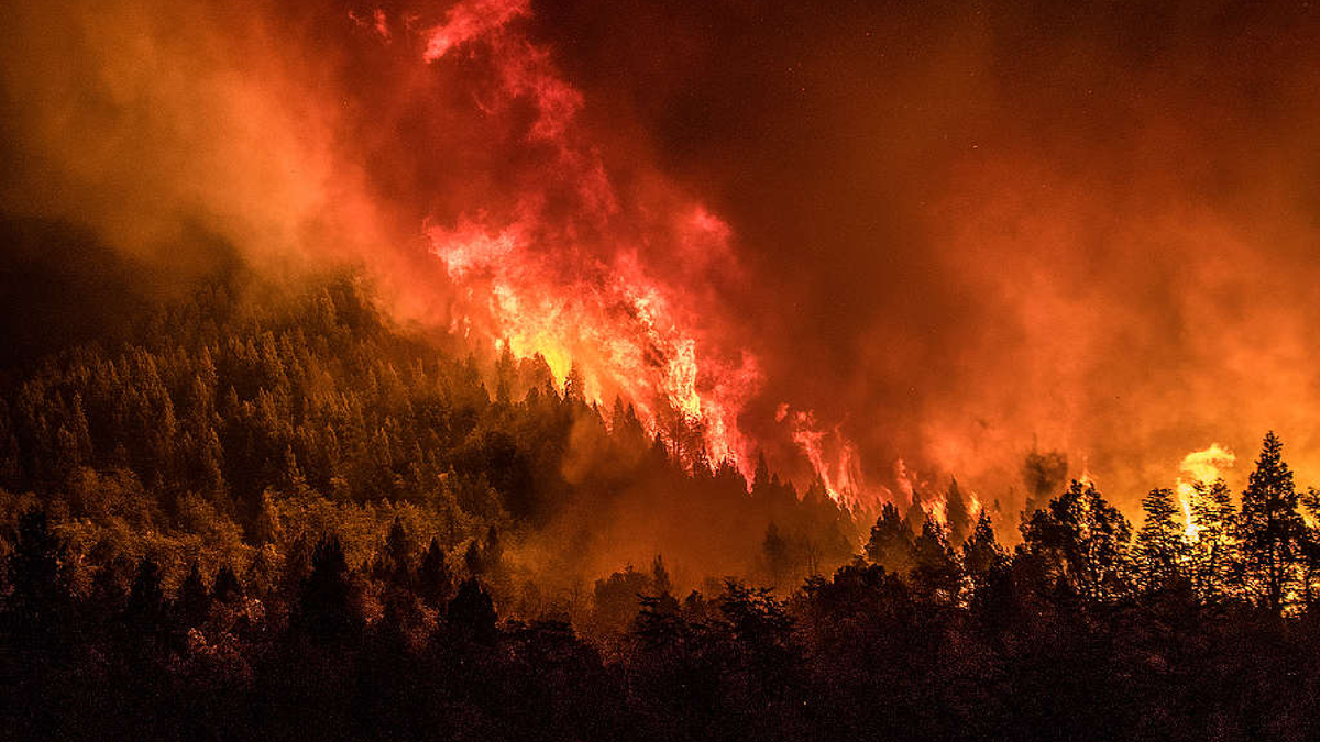 Afianzan el operativo para controlar el incendio en el Parque Nacional Nahuel Huapi. (Foto: Greenpeace)