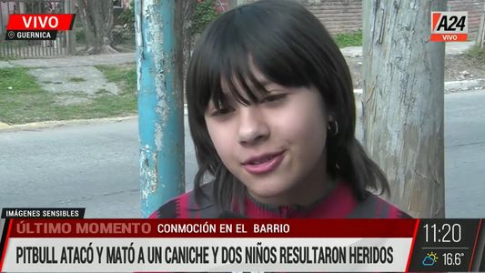 Guernica | Un pitbull mató a un caniche y atacó a una nena de 11 años: Necesito superar la muerte de Max
