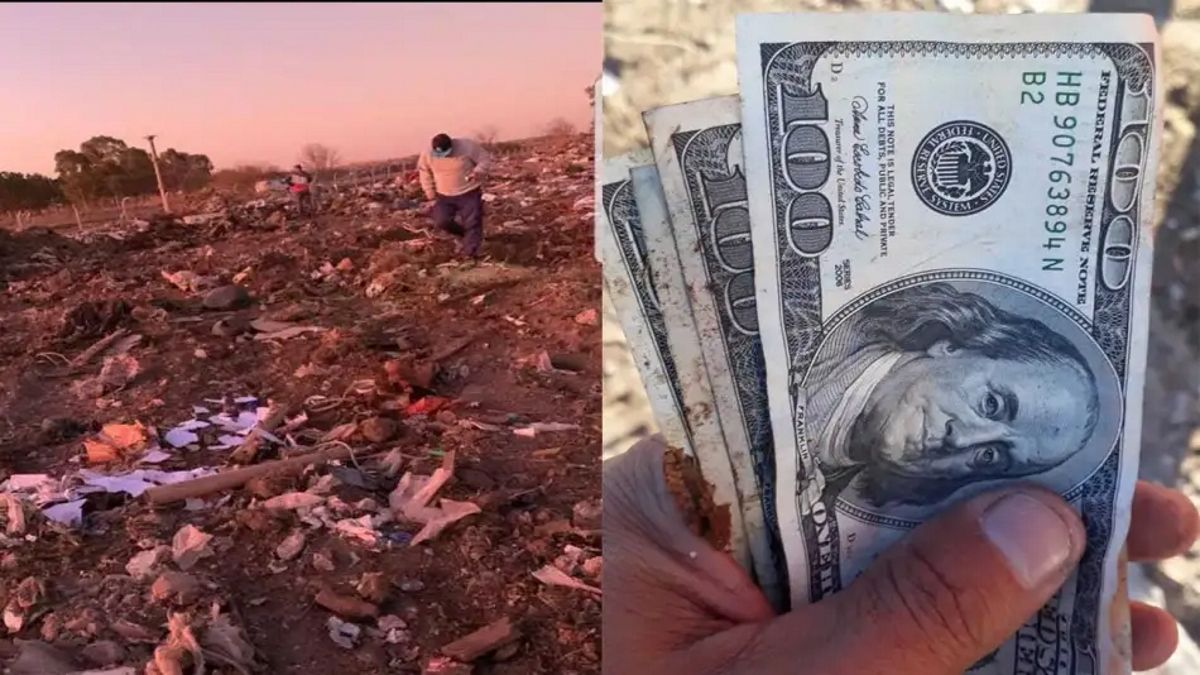 Insólito: encontraron más de 50 mil dólares en un basural