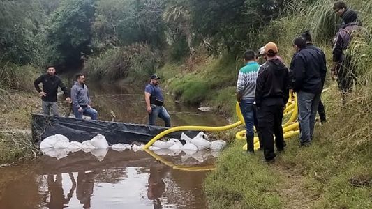 Caso Cecilia Strzyzowski: uno de los restos óseos encontrados en el campo de los Sena es humano
