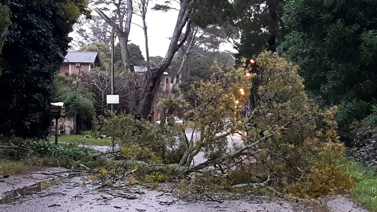 El temporal se sintió en Pinamar