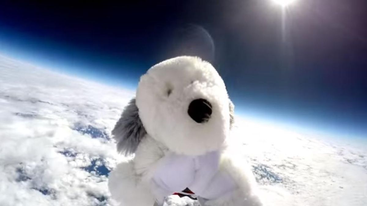 El peluche viajó junto a una GoPro hasta el espacio y después se perdió.
