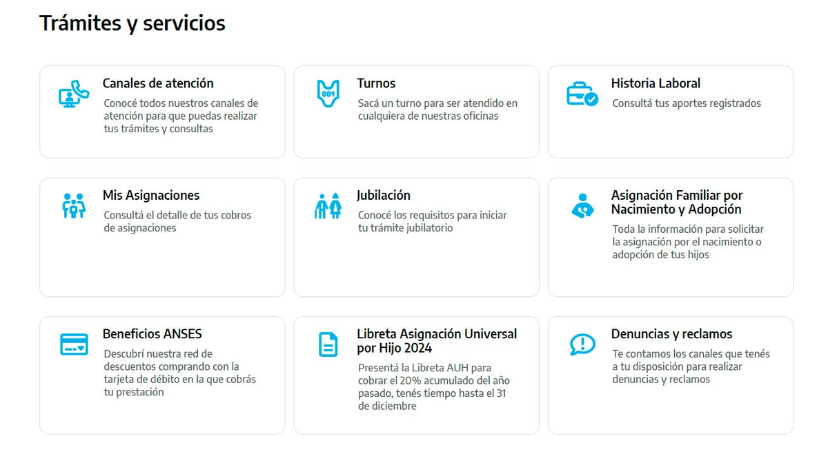 Algunos de los trámites que se pueden realizar en la web de ANSES. (Foto: archivo) Algunos de los trámites que se pueden realizar en la web de ANSES. (Foto: archivo)