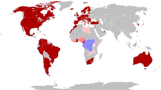 Ya son más de 6 mil los casos de viruela del mono en todo el mundo y la OMS convoca reunión de emergencia