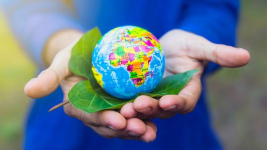 ¿Por qué se celebra hoy el Día Mundial del Medio Ambiente?