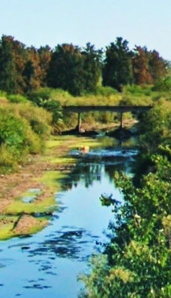 Asesinan en Rosario a un adolescente de un tiro en la cabeza e investigan si fue una venganza