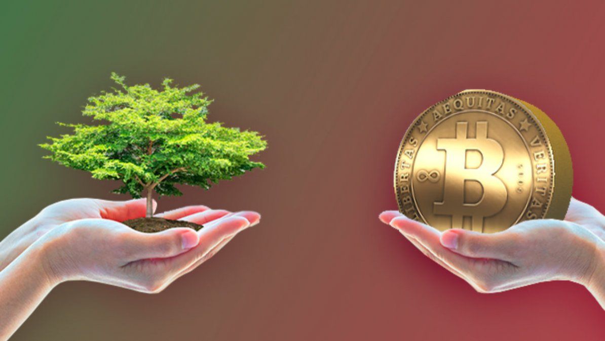 ¿Existen criptomonedas ecológicas? Conocé más sobre ellas.
