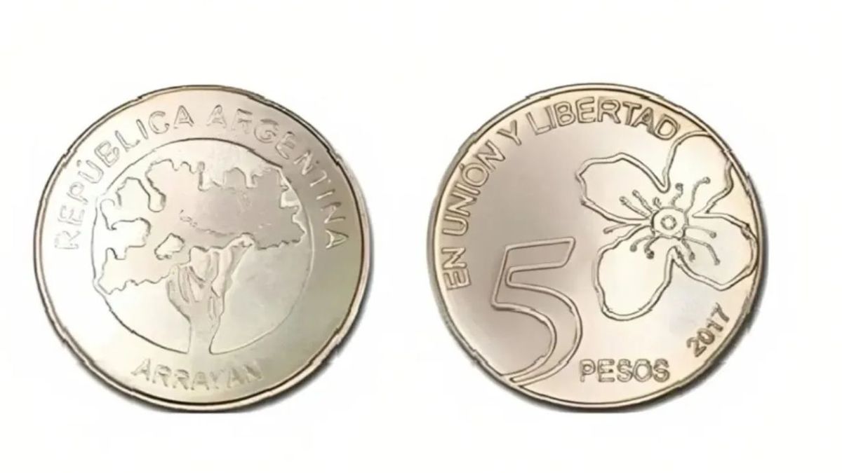 Buscá las monedas de 5 pesos que hay en tu casa porque tenés un gran tesoro oculto. (Foto: Archivo)