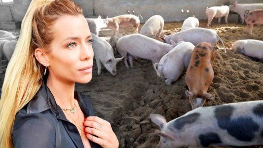 Nicole Neumann volvió a apuntar contra los que comen carne: Sigan...