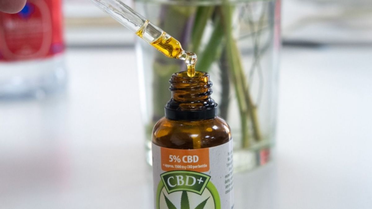 Presentaron la empresa Cannabis Conicet. (Foto: Télam)