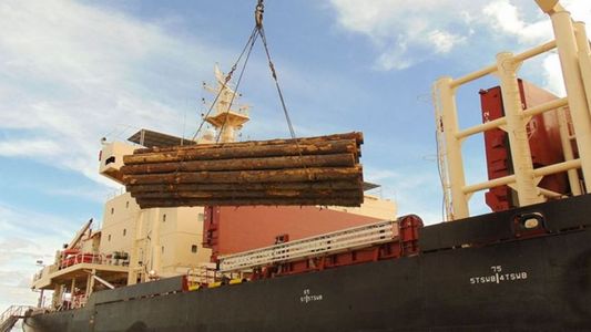 Exportan unas 50 mil toneladas de madera a la India desde el Litoral