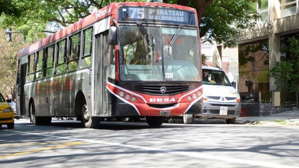 Autotransporte: La norma fue establecida a través de la resolución 923/2022