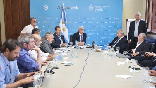 La negociación por la carne: el Gobierno presentó un esbozo de su plan de exportaciones y consumo interno 2022