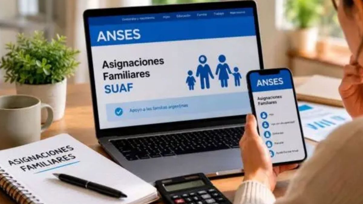 ANSES confirmó el pago de las asignaciones familiares para monotributistas: cuánto cobrás según tu categoría