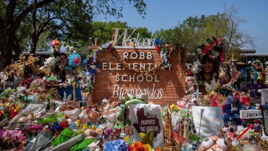 Estados Unidos: sobrevivientes de tiroteos piden prohibir las armas de asalto