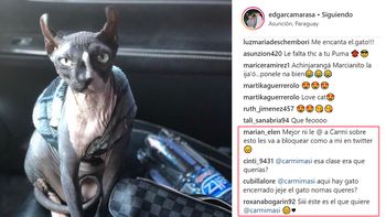 La Masi bloqueó a PrimiciasYa Paraguay por la noticia de los gatitos