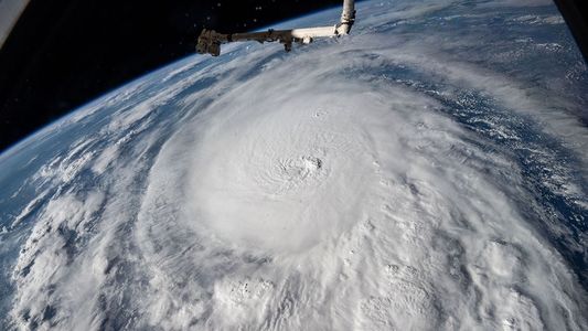 El huracán Milton tocó tierra en la costa de Florida con vientos de más de 200 km/h: hay millones de evacuados