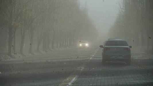 Suspenden las clases y elevan el nivel de alerta por el viento Zonda en Mendoza