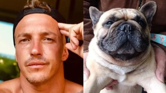 Qué secretos podrá revelar el chip que posee el perro del empresario descuartizado