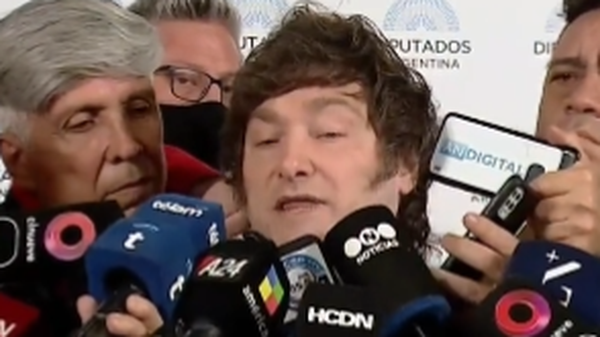 Javier Milei al término de la sesión en la Cámara de Diputados donde se trató la renuncia de Sergio Massa. (Captura)