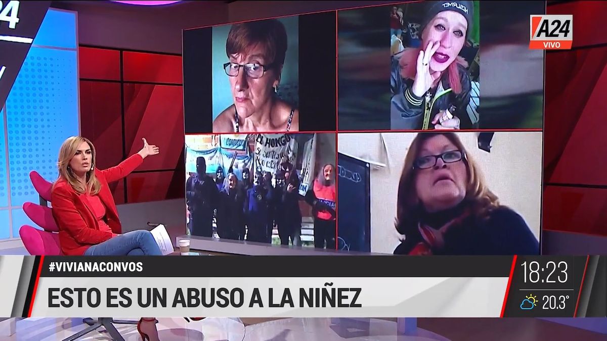 Viviana Canosa y su editorial sobre la educación y la coyuntura política (Foto: captura de pantalla).