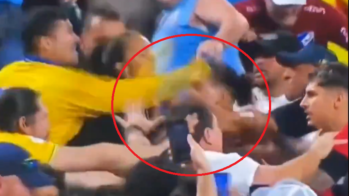 Darwin Núñez y Ronald Araújo agarrándose a golpes con los aficionados colombianos