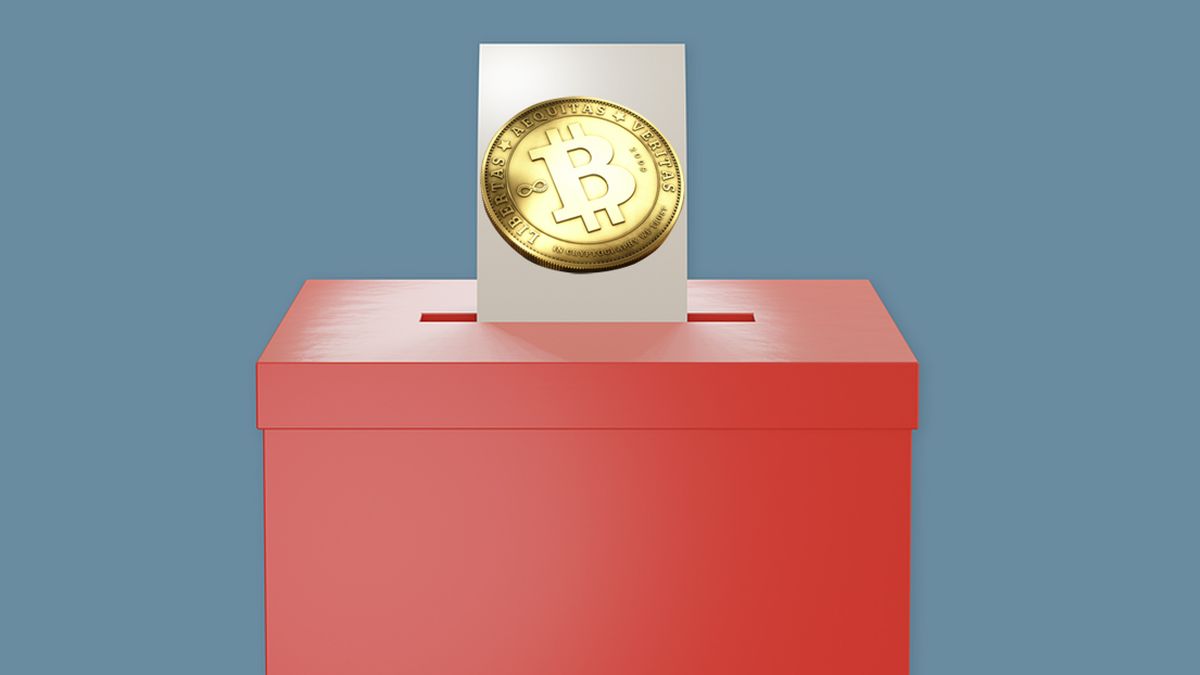 Elecciones y criptomonedas: los “votantes cripto” con mayor interés en las propuestas de los candidatos para el ecosistema se encuentran entre los 30 y 49 años (29%) y los 65 años o más (25%). (Foto Thor Deichmann en Pixabay).