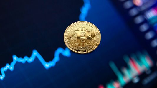 Bitcoin: por qué se derrumbó hasta la mitad de su máximo histórico y qué hacen los inversores