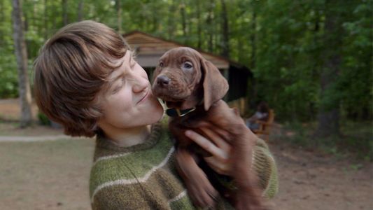 Netflix sorprende con el estreno de Scooby-Doo: el origen, su nueva serie