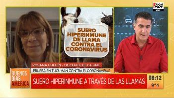 Prueban un suero hiperinmune de llamas, en Tucumán