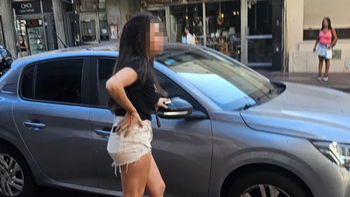 Dejó encerrado a su perro en el auto y volvió a las 7 horas: gritos, llanto y el peor final