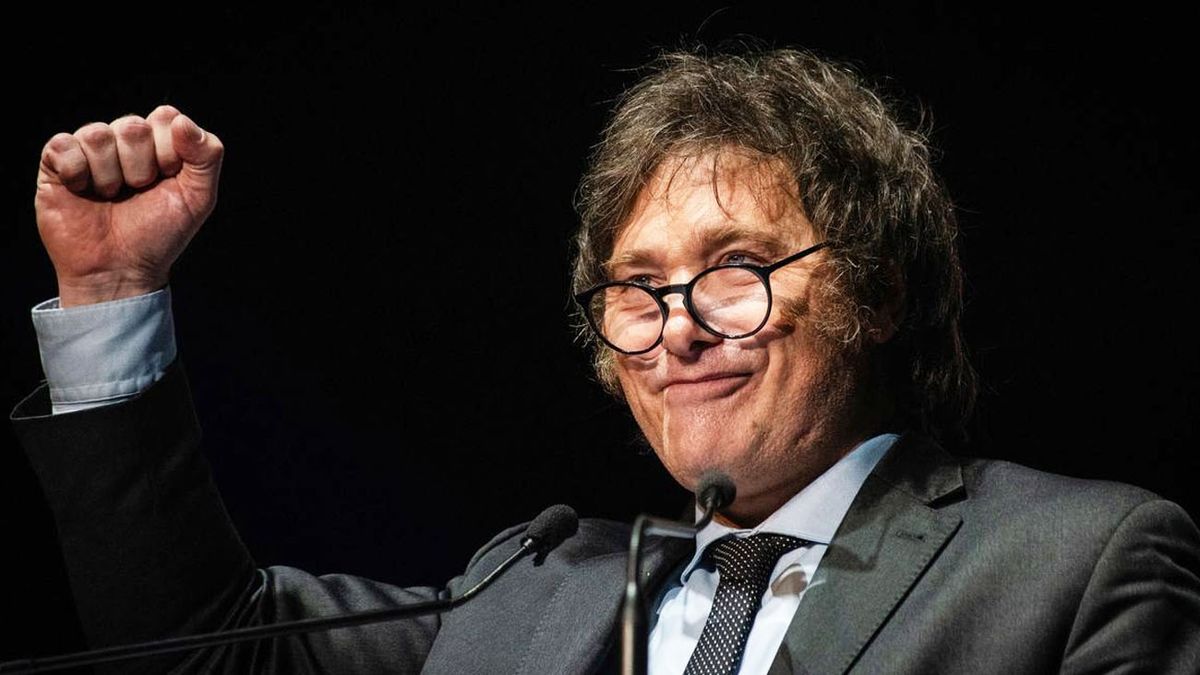 Javier Milei celebró el dato de inflación mayorista de diciembre. (foto: archivo)