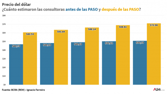 Efecto PASO: una por una mirá cómo cambiaron las estimaciones del mercado sobre dólar, inflación, tasas, PBI y precios