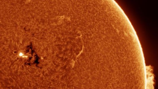 Alerta planetaria: una mancha solar gigante podría provocar...