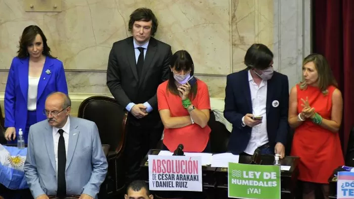 La foto viral de Javier Milei en la jura (Foto: NA)