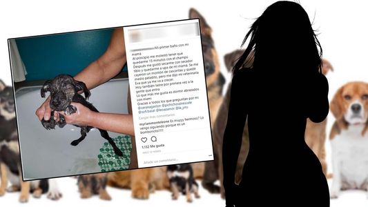 Qué reconocida actriz se bañó con el perro que rescató de la calle y subió foto a Instagram