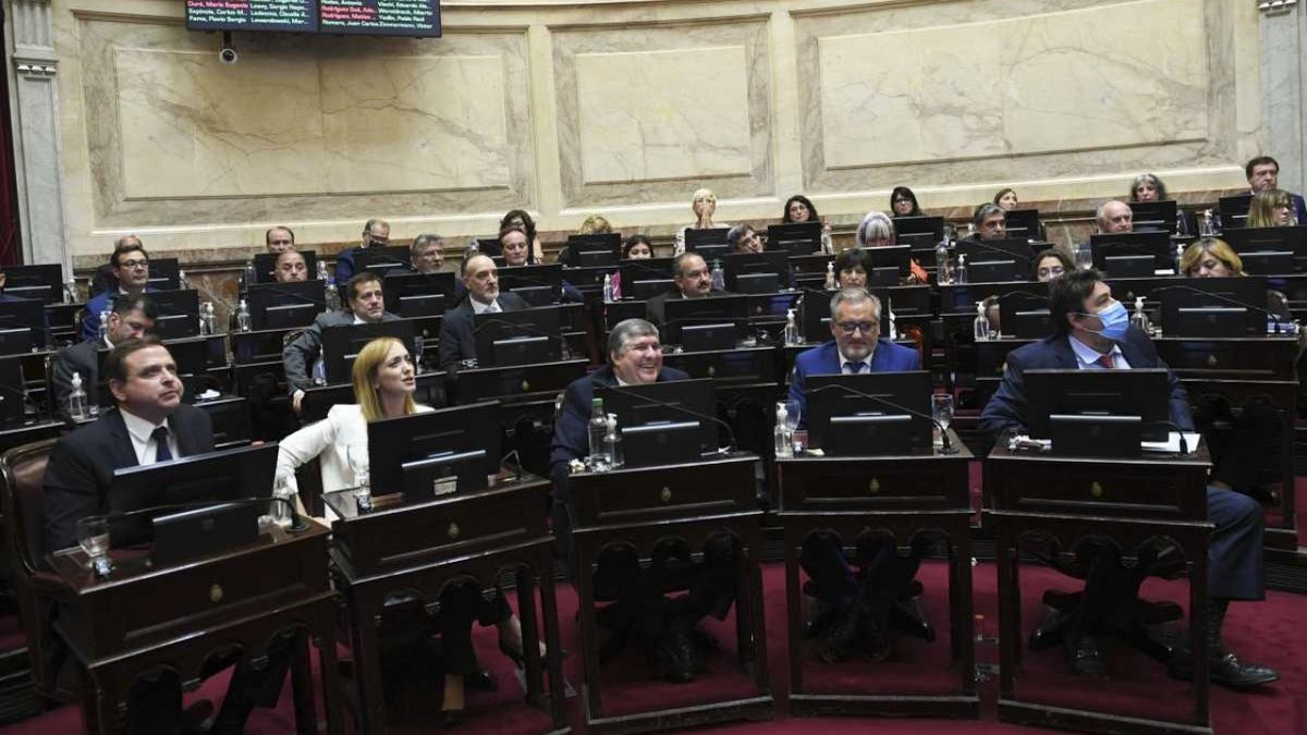 No al FMI: Trece legisladores del Frente de Todos rechazaron en el Senado la ley que este viernes fue publicada por el Gobierno Nacional (Foto: NA).