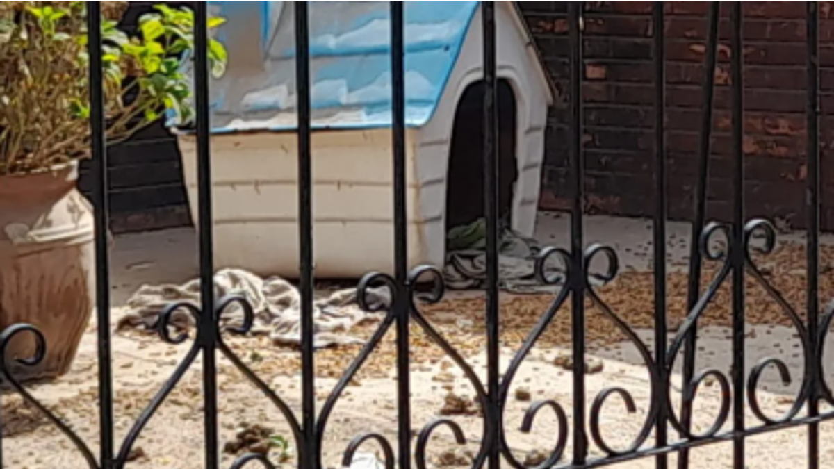 La v&iacute;ctima ten&iacute;a cinco perros (Foto: gentileza Maracodigital).