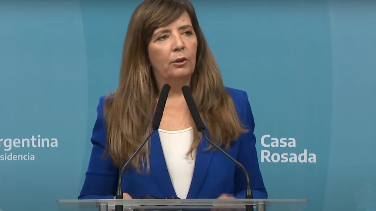 Gabriela Cerruti reconoció que la salida inesperada de Martín Guzmán ...