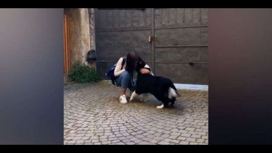 El video que conmueve a Italia: una chica se reencuentra con su perra tras dos meses de cuarentena