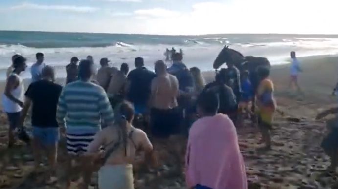 Mar del Plata: un hombre bajó a la playa a caballo y los turistas quisieron detenerlo a golpes