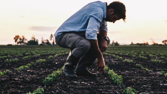 Multiplicadores, listos para potenciar la tecnología enlist, de Stine