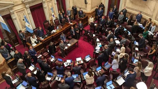 El Senado aprobó la reforma de la Ley de Salud Mental: qué cambia con las internaciones involuntarias