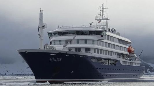 El crucero y el fantasma del hantavirus: las 3 hipótesis sobre cómo llegó la enfermedad a bordo