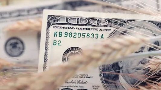 A cuánto cotizan los dólares financieros, el oficial y el dólar blue tras la decisión de Economía de no intervenir