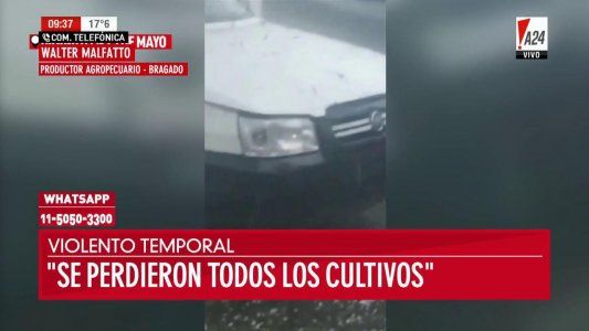 La caída de granizo destrozó cultivos en Bragado