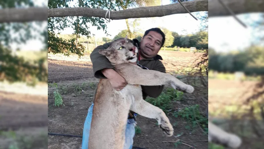 Se sacó una selfie con un puma muerto que había cazado y terminó preso