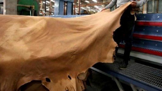 Eliminan retenciones a la exportación de cueros hasta fin de año; los frigoríficos piden más