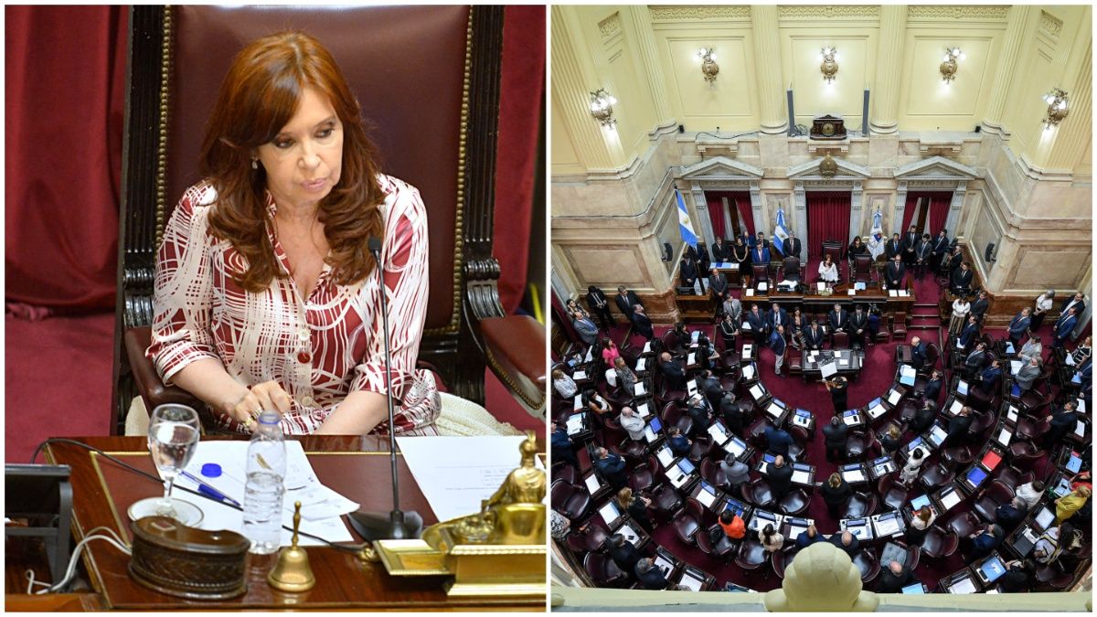 El Senado no alcanzó los 37 votos que se necesitaban para aprobar Ficha Limpia. (Foto: archivo).