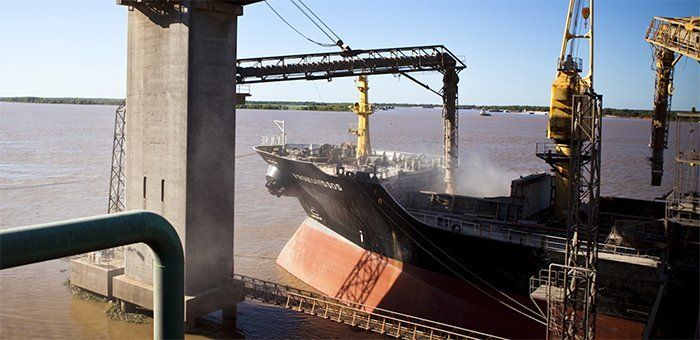 En el primer semestre, las exportaciones agroindustriales se sostuvieron frente a la caída del resto de los sectores